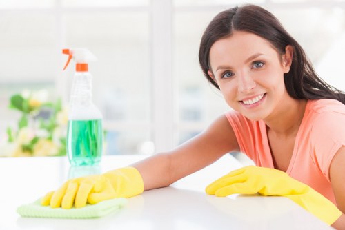 Cleaner carrying out safe cleaning duties with protective equipment
