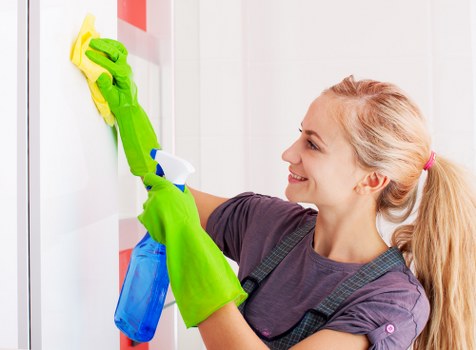 Professional steam carpet cleaning service in a Richmond home