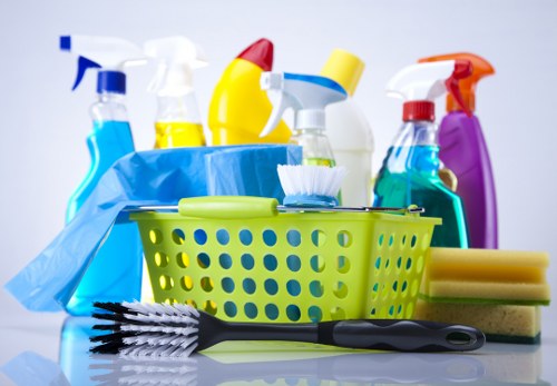 Professional house cleaning service for Richmond homes