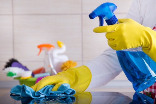 Professional sofa cleaning service in a Richmond living room