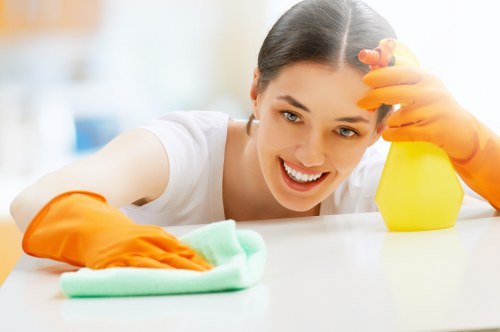Regular housekeeping and deep cleaning for Richmond properties