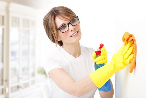 Professional window cleaning for Richmond homes with clear glass and tidy frames