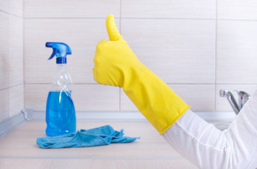Window cleaning equipment and a finished streak-free window in Richmond