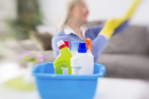 Bathroom cleaning during a Richmond property move out