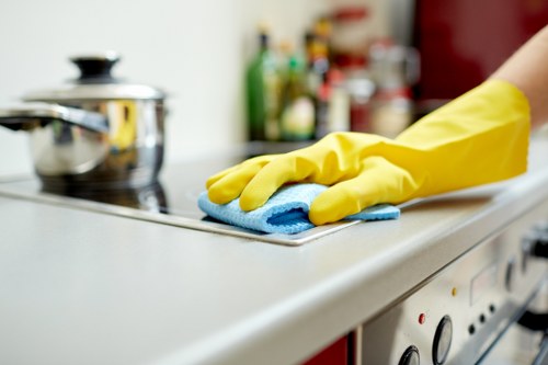Detailed end of tenancy kitchen cleaning in Richmond