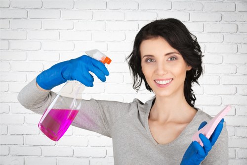 Kitchen and bathroom cleaning service for a Richmond flat