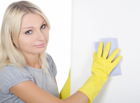 Cleaner review of service terms and liability notes before starting work